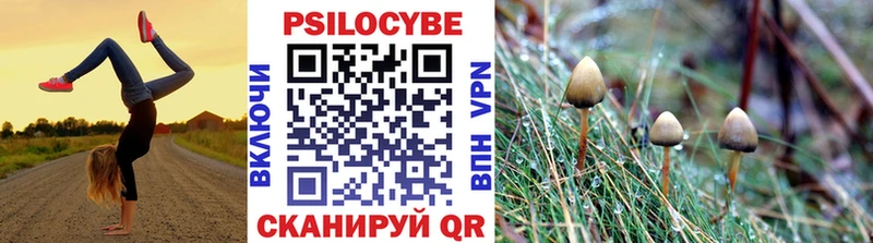 маркетплейс формула  Моршанск  Галлюциногенные грибы Cubensis 